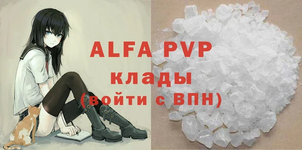 индика Вязники