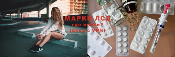 шишки Вязьма