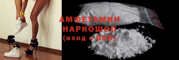 индика Вязники