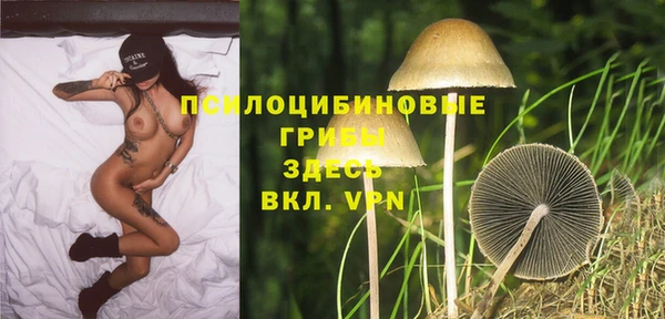 кокс Вяземский
