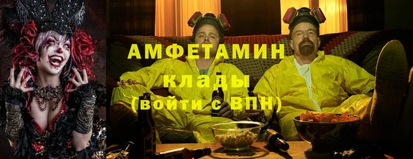 индика Вязники