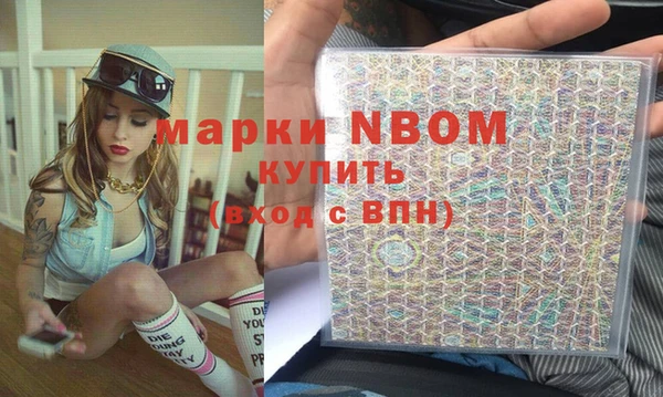 индика Вязники