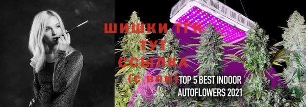 индика Вязники