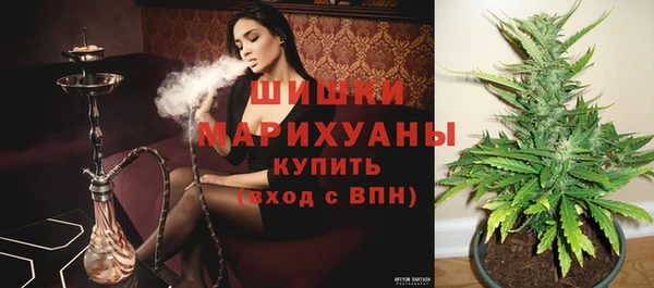 шишки Вязьма