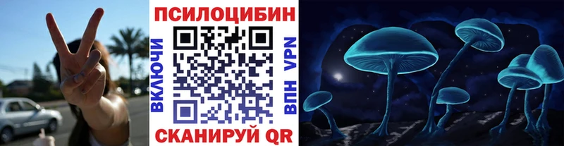 Купить  Томари  Псилоцибиновые грибы мицелий 